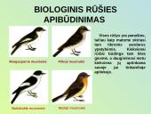 Evoliucijos procesas 9 puslapis
