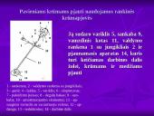 Krūmapjovės 4 puslapis
