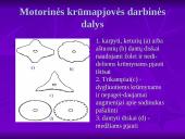 Krūmapjovės 6 puslapis