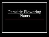 Parasitic Flowering Plants