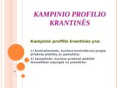 Prieplaukų statiniai. Gravitacinio tipo prieplaukų statiniai 11 puslapis