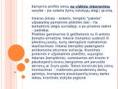 Prieplaukų statiniai. Gravitacinio tipo prieplaukų statiniai 13 puslapis