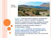 Prieplaukų statiniai. Gravitacinio tipo prieplaukų statiniai 4 puslapis