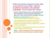 Prieplaukų statiniai. Gravitacinio tipo prieplaukų statiniai 5 puslapis