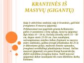 Prieplaukų statiniai. Gravitacinio tipo prieplaukų statiniai 10 puslapis