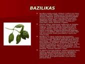 Prieskonių pristatymas 14 puslapis