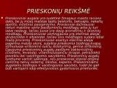 Prieskonių pristatymas 2 puslapis