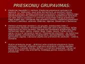 Prieskonių pristatymas 3 puslapis