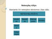 Prievolių teisės ir prievolės samprata 11 puslapis