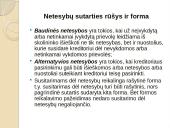 Prievolių teisės ir prievolės samprata 13 puslapis