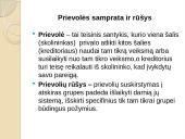 Prievolių teisės ir prievolės samprata 3 puslapis