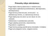 Prievolių teisės ir prievolės samprata 4 puslapis