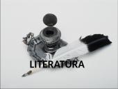 Romantizmo epochos charakteristika 8 puslapis