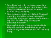 Santuokos pasibaigimas bei nutraukimo būdai 11 puslapis