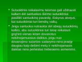 Santuokos pasibaigimas bei nutraukimo būdai 12 puslapis