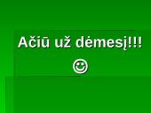Santuokos pasibaigimas bei nutraukimo būdai 17 puslapis