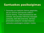 Santuokos pasibaigimas bei nutraukimo būdai 5 puslapis