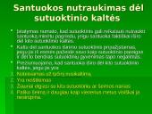 Santuokos pasibaigimas bei nutraukimo būdai 10 puslapis