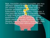 Stalo tradicijos Naujųjų išvakarėse 6 puslapis
