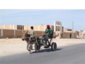 Transporto svarba ir įvairovė 3 puslapis