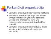 Viešųjų pirkimų pažeidimai 14 puslapis