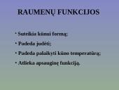 Žmogaus raumenys 2 puslapis