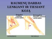 Žmogaus raumenys 19 puslapis