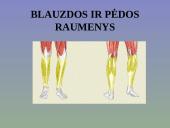 Žmogaus raumenys 20 puslapis