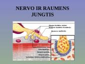 Žmogaus raumenys 7 puslapis