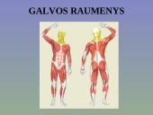 Žmogaus raumenys 9 puslapis