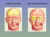 Žmogaus raumenys 10 puslapis