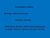 Žuvys, jų organai 11 puslapis