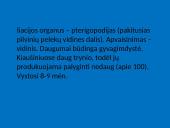 Žuvys, jų organai 14 puslapis