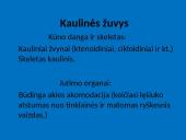 Žuvys, jų organai 16 puslapis