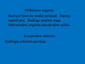 Žuvys, jų organai 18 puslapis