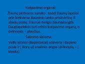 Žuvys, jų organai 20 puslapis