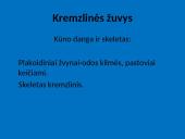 Žuvys, jų organai 5 puslapis