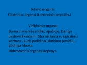 Žuvys, jų organai 7 puslapis