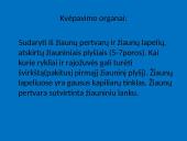 Žuvys, jų organai 9 puslapis