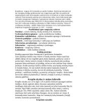 Kur ir kada buvo sukurtas krepšnis? 3 puslapis