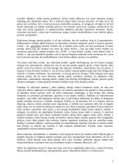 Mano meninė patirtis 2 puslapis