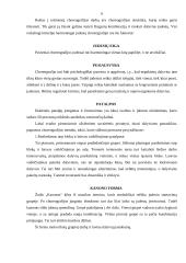 Aerobikos rankų simboliai ir choreografija 6 puslapis