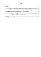 Aplinkosauginiai taršos mokesčiai Lietuvoje 2 puslapis