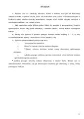 Aplinkosauginiai taršos mokesčiai Lietuvoje 12 puslapis