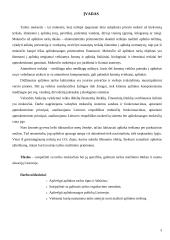 Aplinkosauginiai taršos mokesčiai Lietuvoje 3 puslapis