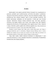 Bendravimo protokolas 11 puslapis