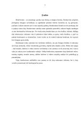 Bendravimo protokolas 3 puslapis