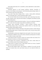 Bendravimo protokolas 7 puslapis