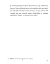 Dalykinis bendravimas organizacijoje: kelionių organizatorė "Kelionių opera" 13 puslapis