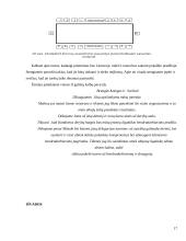 Dalykinis bendravimas organizacijoje: kelionių organizatorė "Kelionių opera" 17 puslapis